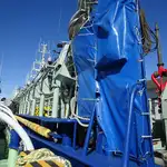 Purse seiner til salg