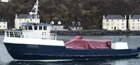 Arbejdsbåde til salg
