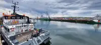 Katamaran til salg