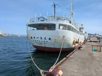 Langliner til salg