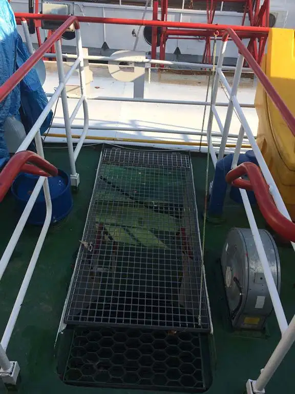 Containerskib til salg