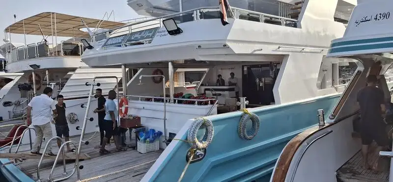 Krydstogtskib til salg