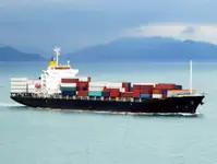 Containerskib til salg