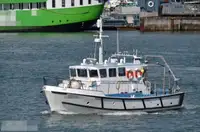 Containerskib til salg