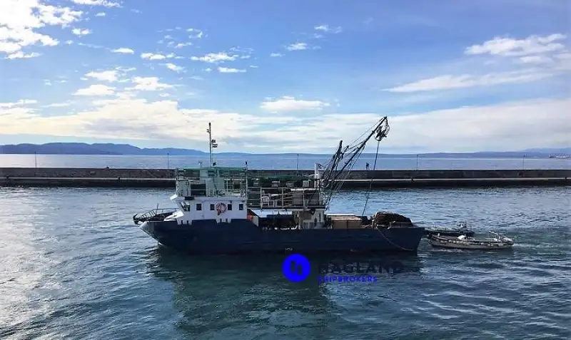 Beam-trawler til salg