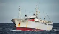 Trawler til salg