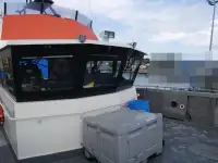 Katamaran til salg