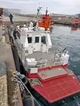 Katamaran til salg
