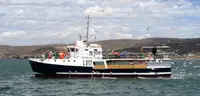Purse seiner til salg