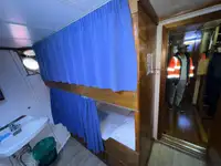 Containerskib til salg
