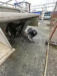 Patruljebåd til salg