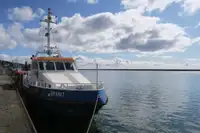 Patruljebåd til salg