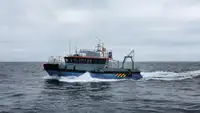 Containerskib til salg