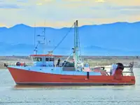 Trawler til salg