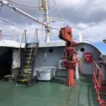 Langliner til salg