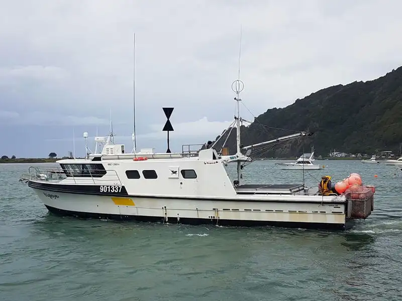 Langliner til salg