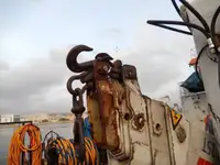 Arbejdsbåde til salg