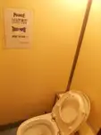 Bulk-skib til salg