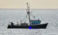 Beam-trawler til salg