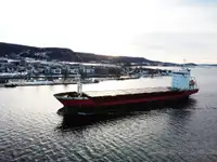 Bulkskib til salg