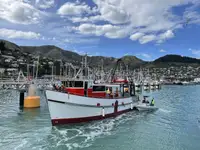 Trawler til salg