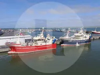 Fiskerfartøj til salg