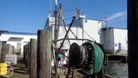 Trawler til salg