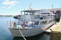 Passagerskib til salg