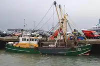 Trawler til salg