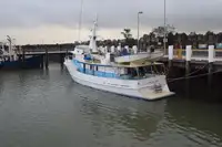 Kutter til salg