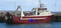 Stort frysetrawler til salg