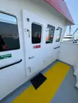 Containerskib til salg