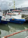 Patruljebåd til salg