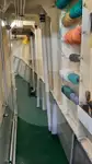Levende fisketransportskib til salg