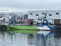 Arbejdsbåde til salg
