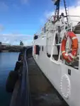 Bugserbåd til salg