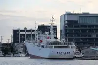 Trawler til salg