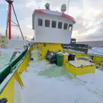 Patruljebåd til salg