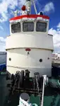Trækbåd til salg