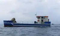Trækbåd til salg