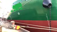 Containerskib til salg