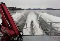 Arbejdsbåde til salg