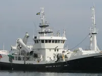 Trawler til salg