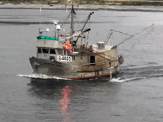 Langliner til salg