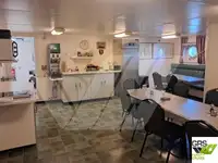 Ro-Ro-skib til salg