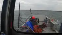 Landingsfartøj, tank til salg
