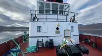 Trækbåd til salg