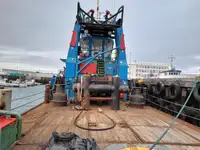 Trækbåd til salg