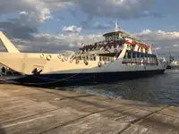 Ro-Ro ship til salg