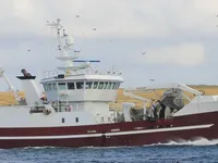 Trawler til salg